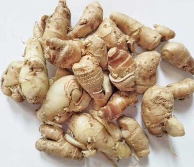 Aromatic Ginger