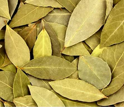 Bay Leaf