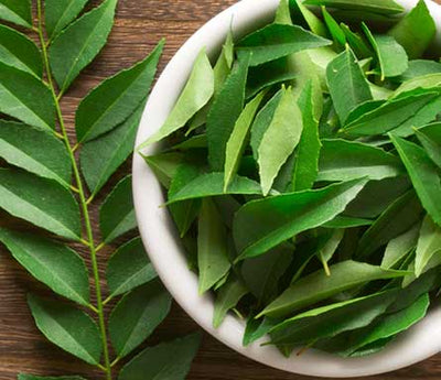 Curry Leaves