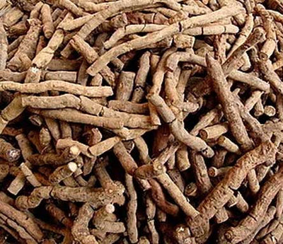 Nannari Root